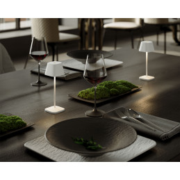Villeroy & Boch - Akku LED Tischleuchte NEAPEL MICRO