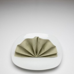 Airlaid Hantessa Serviette 40 x 40 cm, Harry olivgrün