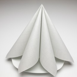Airlaid Hantessa Serviette 40 x 40 cm, Harry silber