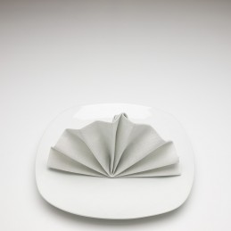 Airlaid Hantessa Serviette 40 x 40 cm, Harry silber