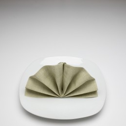 Airlaid Hantessa Serviette 40 x 40 cm, Harry olivgrün